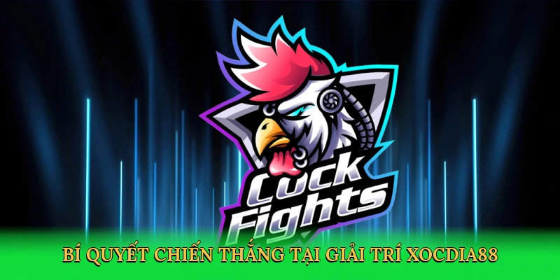 Đá Gà Philippine – Cá Cược Kịch Tính Tại Xocdia88