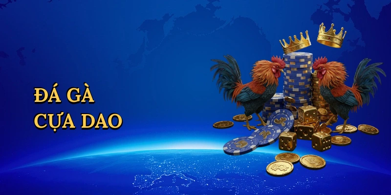 Đá gà cựa dao