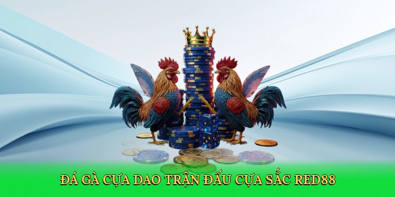 Đá Gà Cựa Dao – Đấu Trường Cựa Sắc Tại Red88