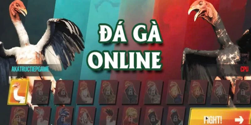 Trọn Bộ Kinh Nghiệm Chơi Đá Gà Online AE888 Hiệu Quả