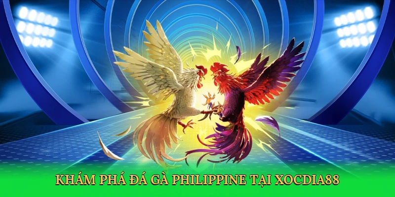 Đá Gà Philippine – Cá Cược Kịch Tính Tại Xocdia88