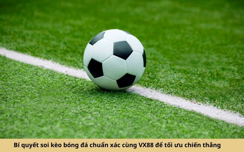 Bí quyết soi kèo bóng đá chuẩn xác cùng VX88 để tối ưu chiến thắng