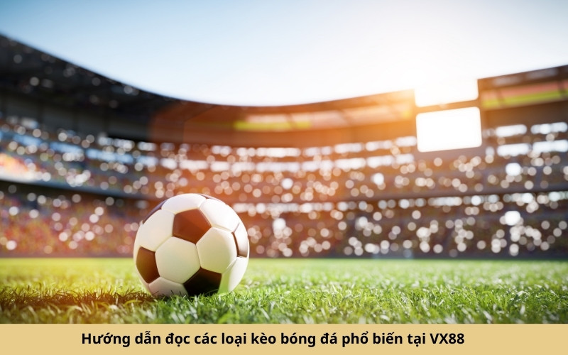 Hướng dẫn đọc các loại kèo bóng đá phổ biến tại VX88
