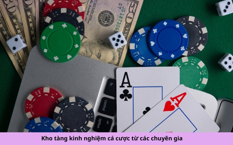 Kho tàng kinh nghiệm cá cược từ các chuyên gia