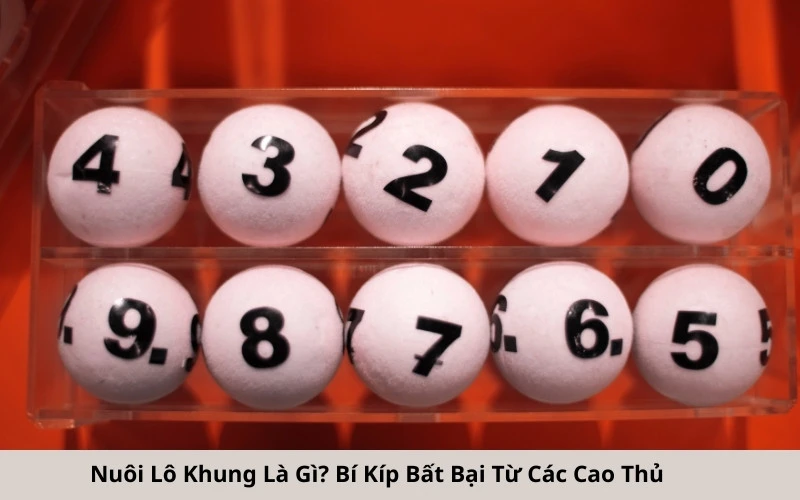 Nuôi Lô Khung Là Gì Bí Kíp Bất Bại Từ Các Cao Thủ
