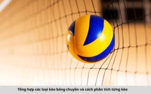 Tổng hợp các loại kèo bóng chuyền và cách phân tích từng kèo